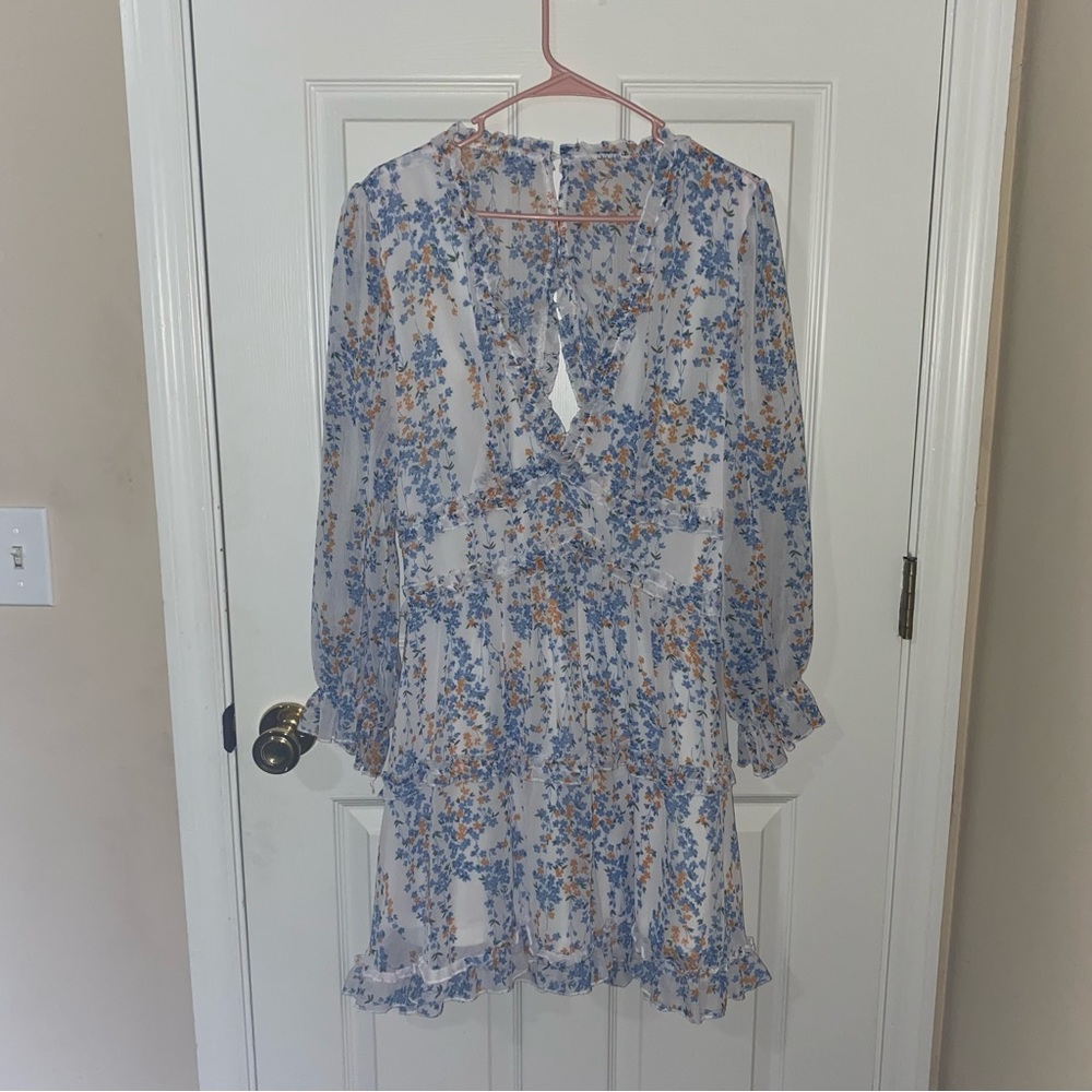 Long Sleeve Sheer Dress